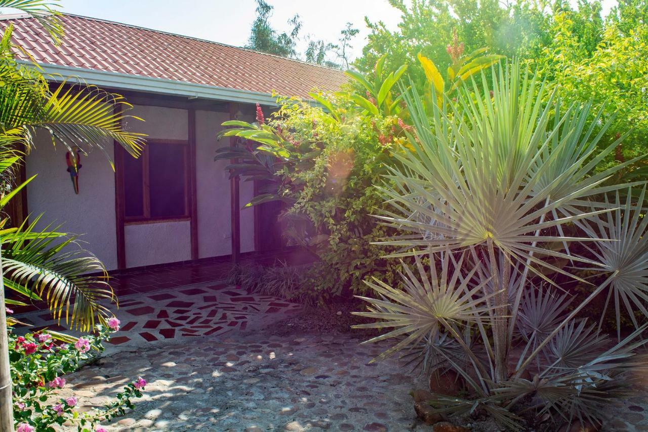 Hostal El Ruby Вильявьеха Экстерьер фото